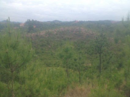 进新型城镇化、公租房、农村危房和城市棚改作