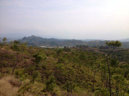 2016年关于不动产租赁营改增税率的政策解读