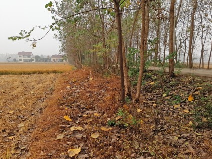 不动产首次登记是什么?与办理不动产权证有什