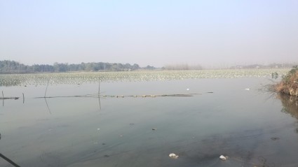 如何购买农业保险?农业保险理赔流程呢?--土流