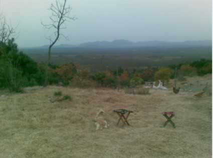 关于修订《山东省地方税务局土地增值税三控