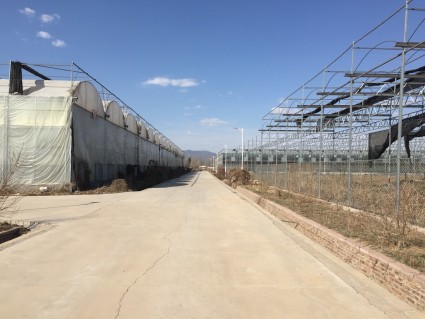 个体工商户网上进行营业执照年检流程--土流网