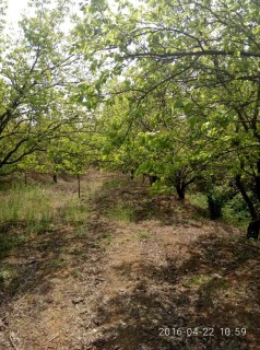 山东省工业建设用地控制标准(2013年)--土流网