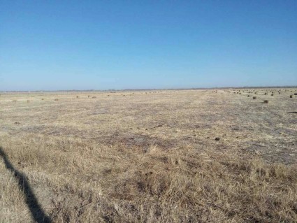 2016内蒙古赤峰高铁项目征地补偿方案出炉,来