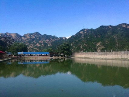 个体工商户网上进行营业执照年检流程--土流网