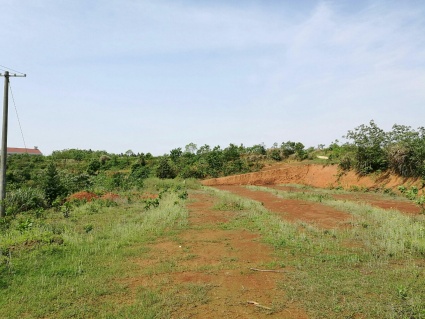 湖南省岳阳县人民政府关于调整2016年新型农