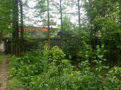 巴中市宅基地确权需要办理哪些手续? - 土流网