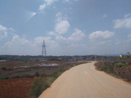 2017年云南种植什么水果最赚钱?--土流网