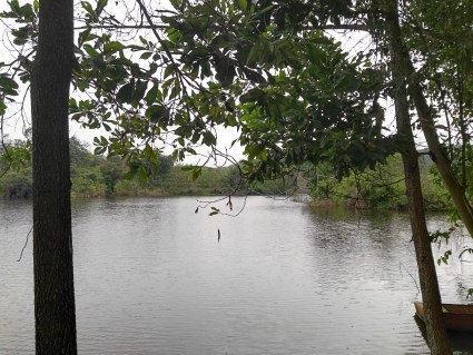 【2014】海南省征地补偿费分配使用管理暂行