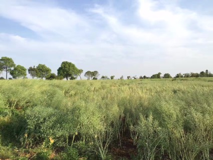 2016《南昌市划拨国有土地上城镇住房转让不