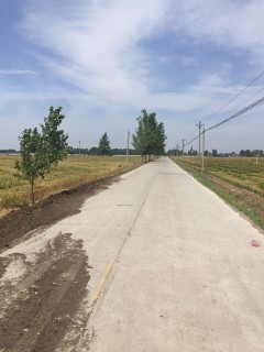 2017年《河南省农村贫困人口大病专项救治实