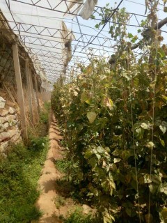 河北省国土资源局《关于调整建设用地审批流程