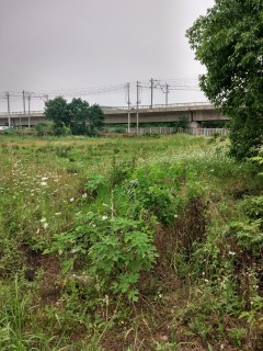 湖北省畜禽规模养殖备案管理办法(2015年发)-