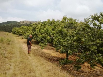 关于修订《山东省地方税务局土地增值税三控