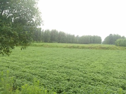 确山县土流网 - 确山县土地转让_土地出租_