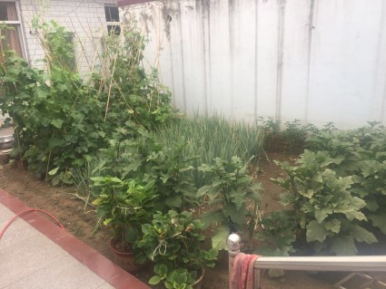 任丘市土流网 - 任丘市土地转让_土地出租_