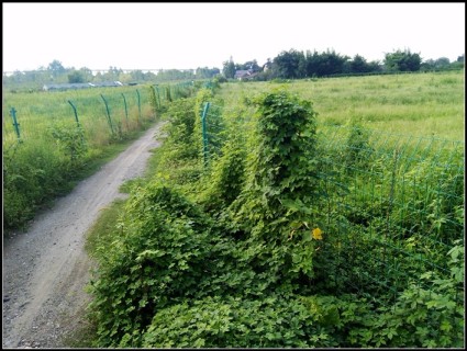 德阳市人民政府关于调整城镇土地使用税税额标