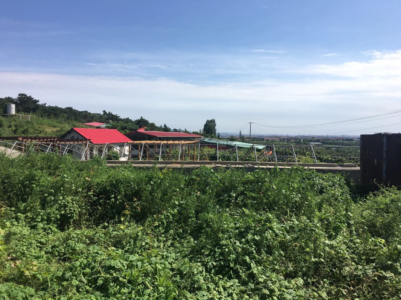 即墨马山地质公园_即墨马山 旅游收入