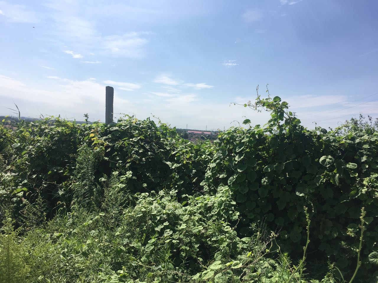 即墨马山地质公园_即墨马山 旅游收入(2)