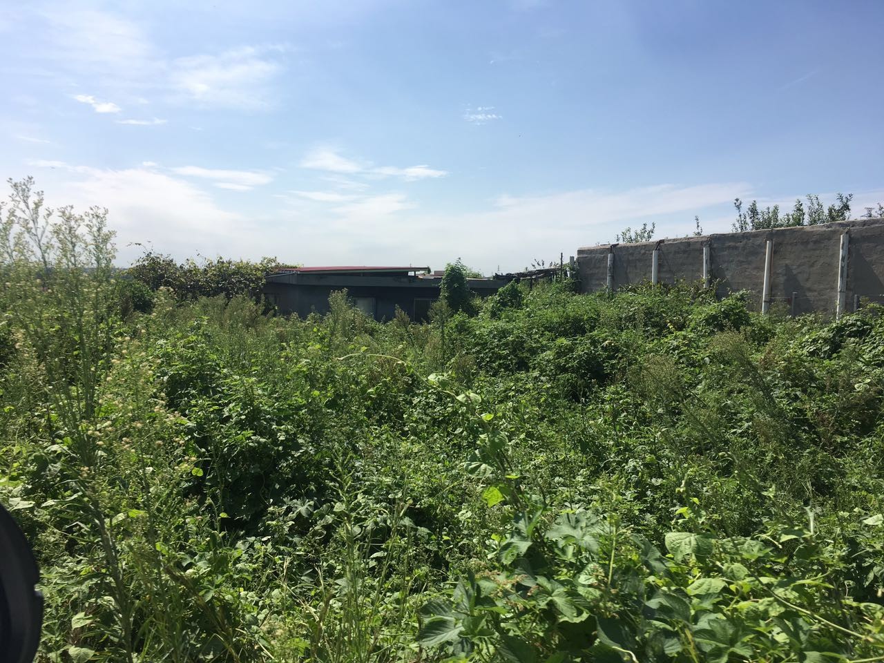 即墨马山地质公园_即墨马山 旅游收入