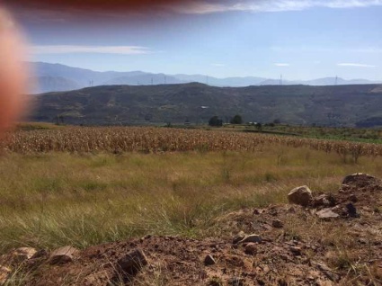 攀枝花市2017年推进供给侧结构性改革工作方