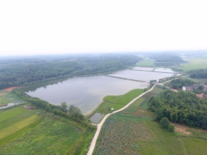 湖南常德2016年农业产业化项目扶持政策! - 土