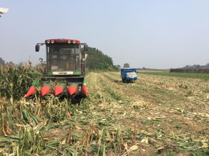 最新土地变更调查:河南耕地面积何以能增长7.