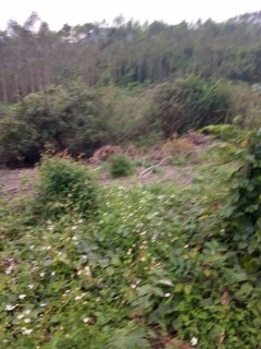 广东省工业项目建设用地控制指标(2005年) - 土