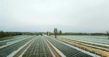 gdp增速_2018年岐山县gdp