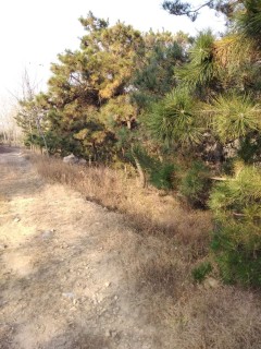 关于修订《山东省地方税务局土地增值税三控