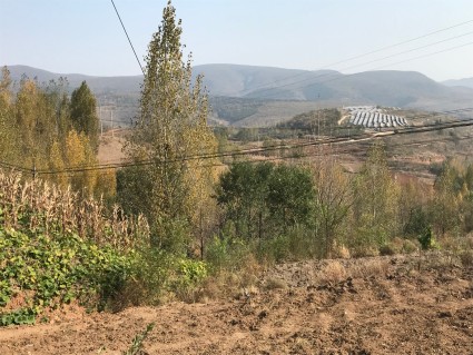 2017河南省光伏扶贫政策:附关于进一步规范光