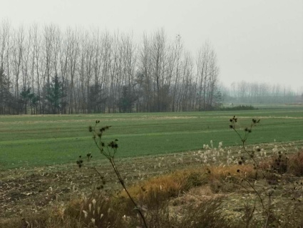 农业用电价格多少钱一度?国家有什么政策?怎