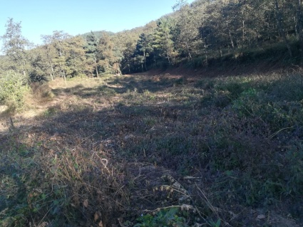 2017年昆明地铁5号线工程(西山段)房屋及建(构