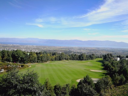 大理市2017年推进农村一二三产业融合发展试