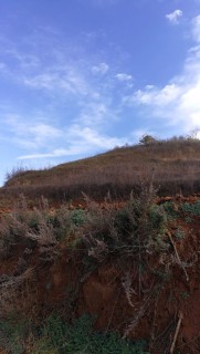 2018-2020河南省城乡居民基本医保对农村贫困