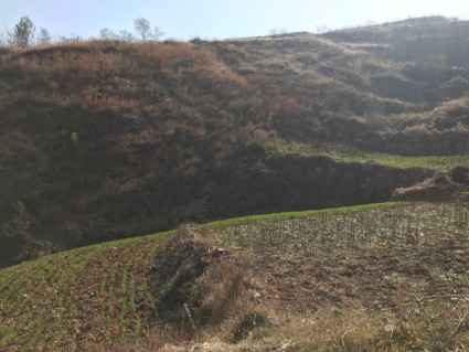 2018-2020河南省城乡居民基本医保对农村贫困