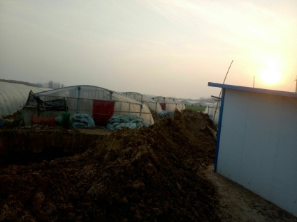 商丘油用牡丹地v牡丹,商丘适合种植油用牡丹的过滤器铝型材外框图片