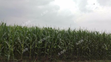 搜索农村土地承包法修正案(草案)_新闻资讯_土