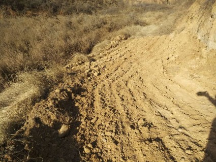 2018中央玉米大豆补贴什么时候下发?每吨补贴