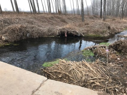 2018-2020河南省城乡居民基本医保对农村贫困