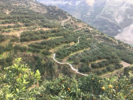 2018武汉住房租赁新规:《武汉市住宅租赁合同