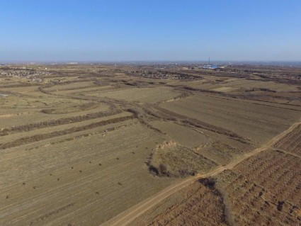 荒漠土分布在我国哪些地区?适合种植什么?