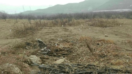 搜索2017年耕地占用税最新规定