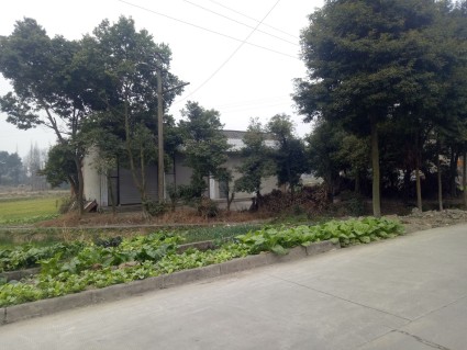 2017成都限购政策:限购细则及相关问题解读(附