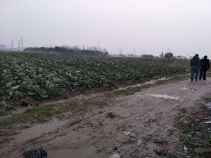 2018年宁波光伏发电有什么新政策?补贴是多少