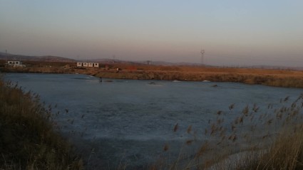 辽宁省人民政府关于推进农业供给侧结构性改革