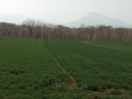 营改增后土地增值税的计税依据如何确认?