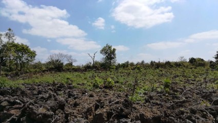 2016-2020海口市龙华区农村宅基地建房管理规定