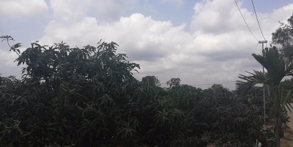 2017年海南休闲农业与乡村旅游发展方向及规