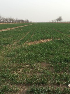 关于修订《山东省地方税务局土地增值税三控